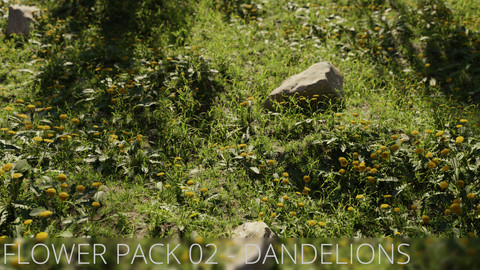 3D Flower Pack 02 - Dandelions