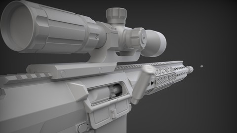SR 25 Sniper Rifle