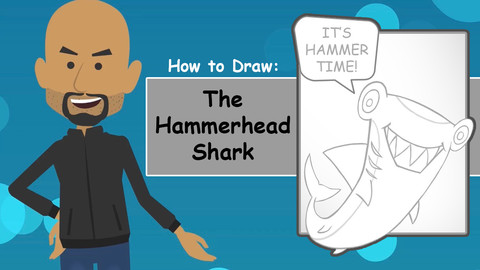 How To Draw The Hammerhead Shark