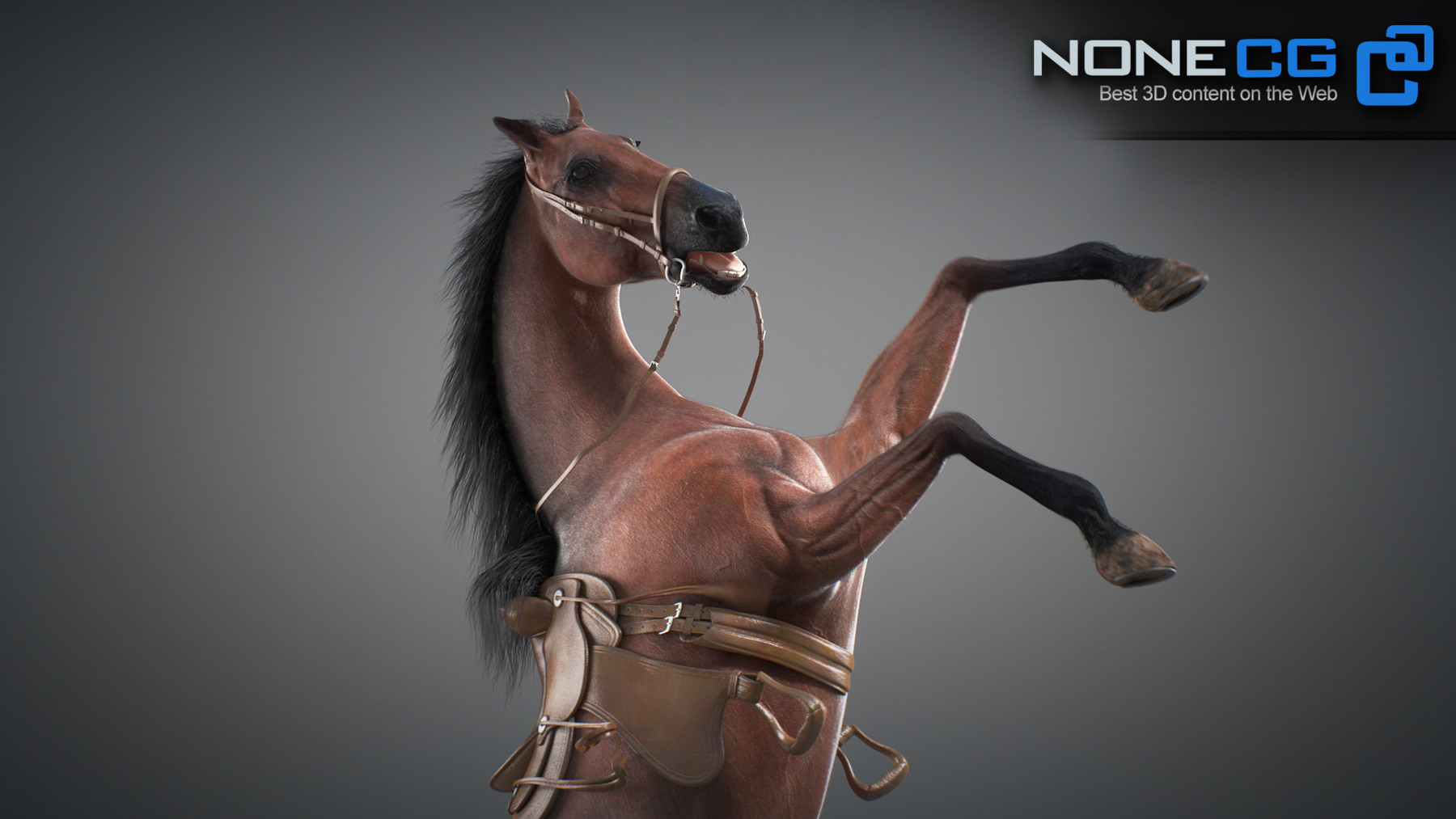 Nonecg 3d Models Horses Maya V3
