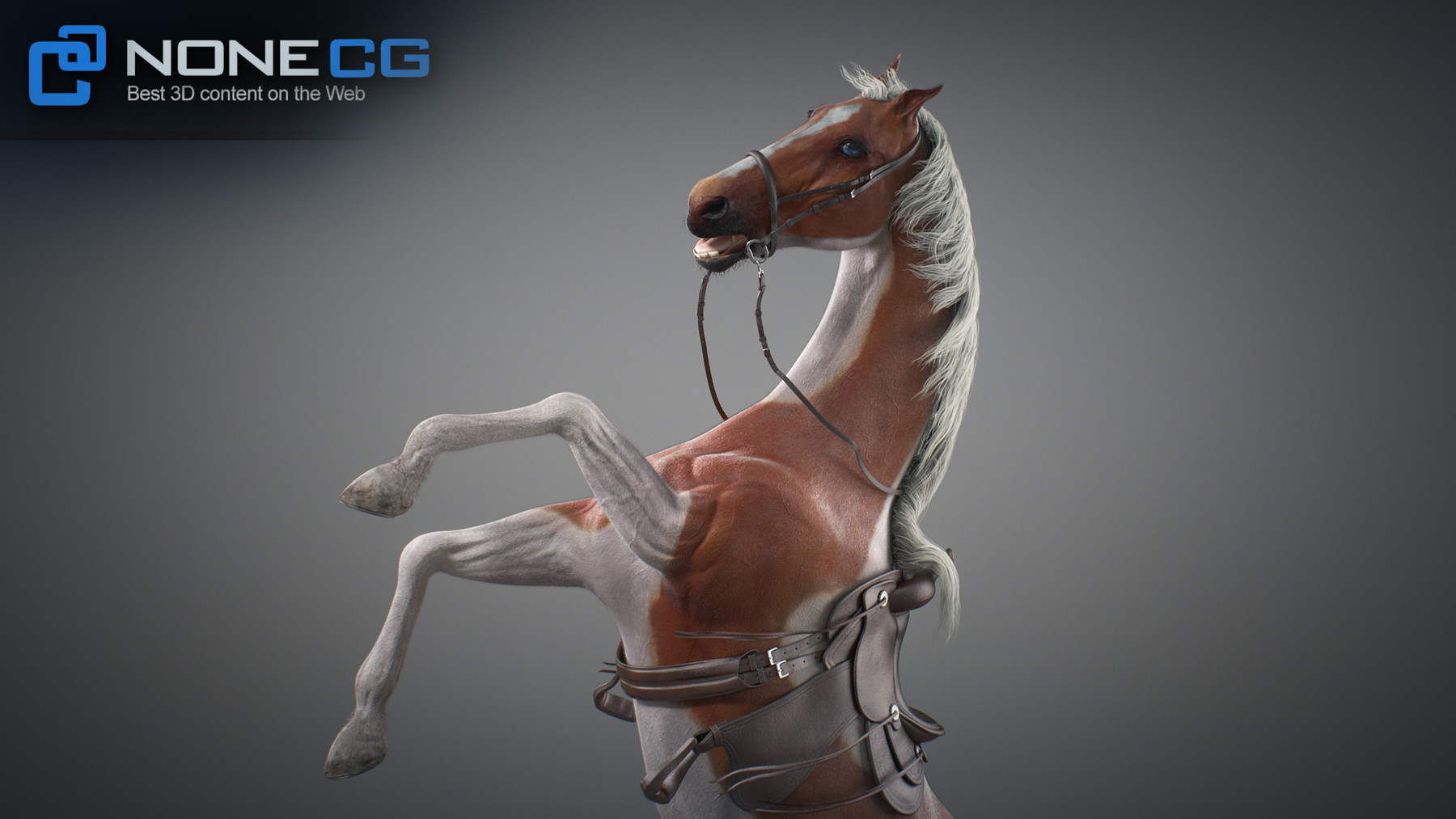 Artstation Horses Maya V3 Resources