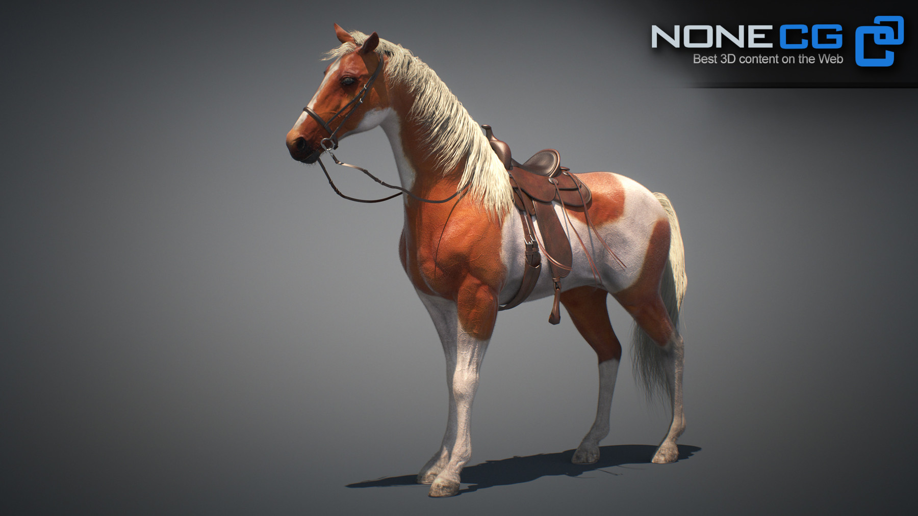 Nonecg 3d Models Horses Maya V3