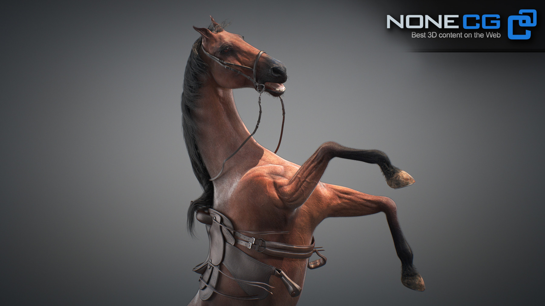 Artstation Horses Maya V3 Resources