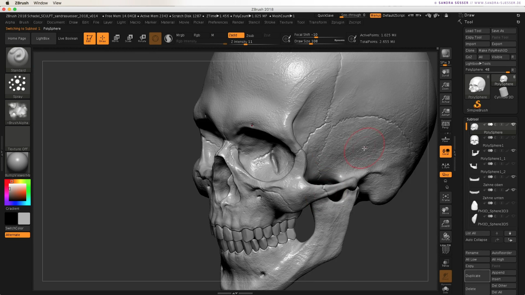 ArtStation - Skull Bundle – 3D Model, Timelapse Videos Zbrush