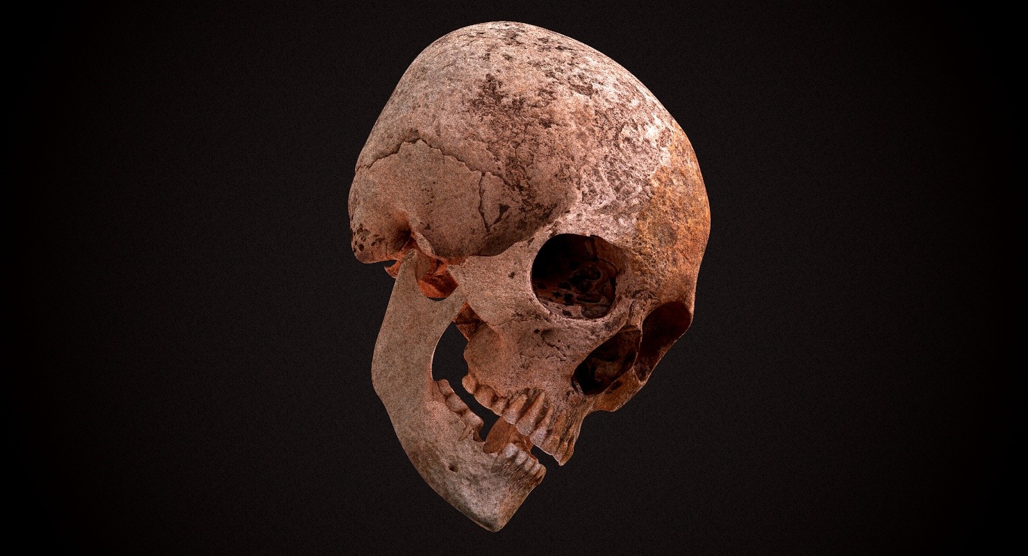 Skull 18