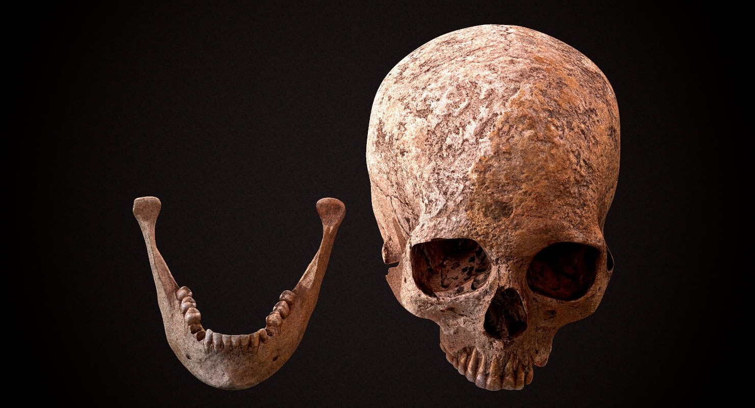 Skull 18