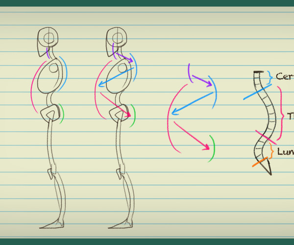 ArtStation - Beginner's Guide to Art Fundamentals - Episode 2 - Anatomy ...