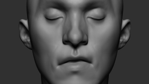 Stylized Male Head
