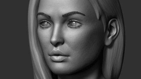 Realistic Female Head