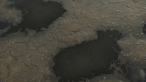 Ground_Dirt with twigs+stones Full PBR Material