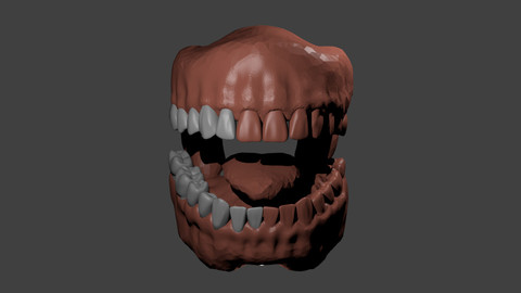 Lowpoly Anatomical Mouth. (obj.)
