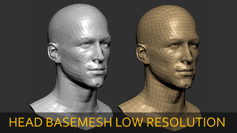 Male Head BaseMesh Low Resolution