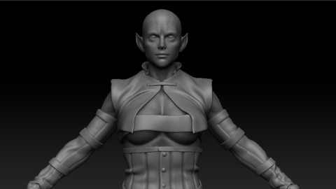 DarkElf (Hi-poly model set)