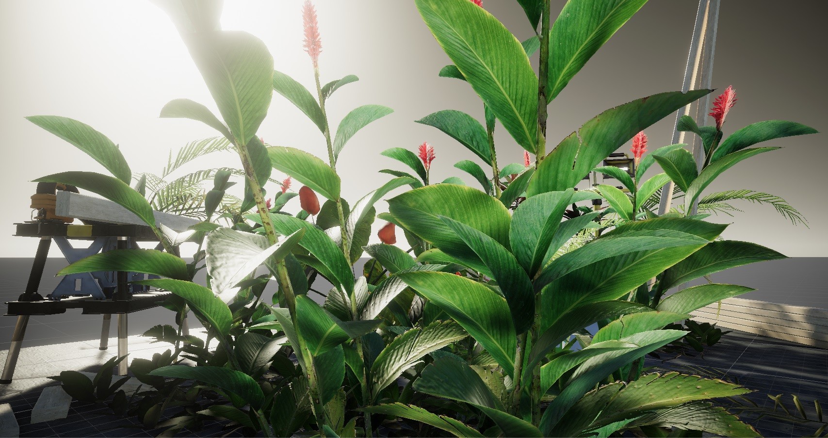 ArtStation - Tropical Plants Package | Resources