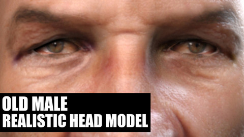Old Male Realistic Head model