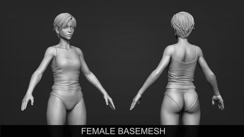 base mesh - female