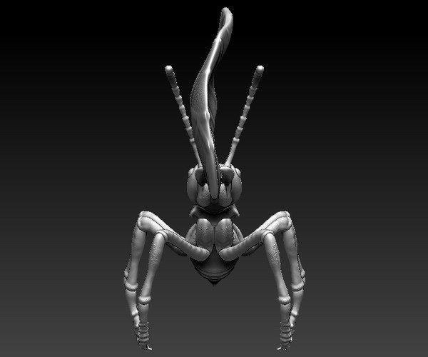 ArtStation - ant | Resources