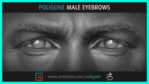 Poligone Male Eyebrows