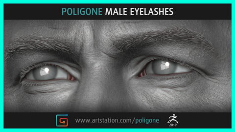 Poligone Male Eyelashes