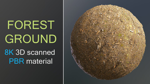 Forest ground 8K 3D photoscanned material