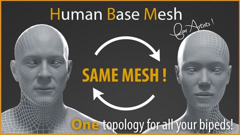 Human Base Mesh for artists !