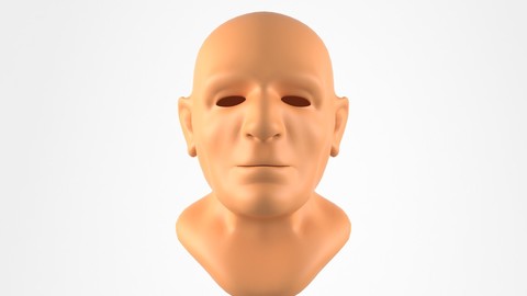 Model of the Head of an Adult Male