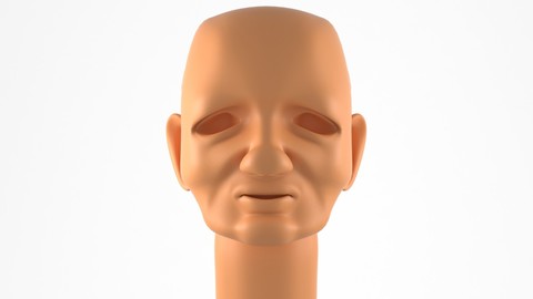 The Head of an Old Man 3d Model