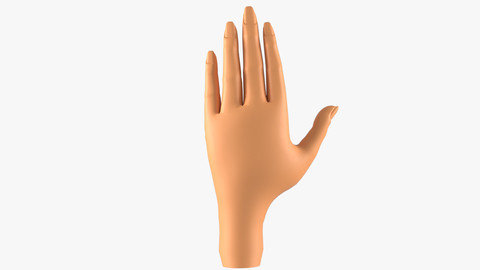 Girl Hand 3D Model Base Mesh