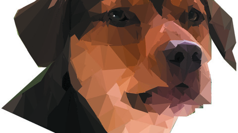 Low poly dog