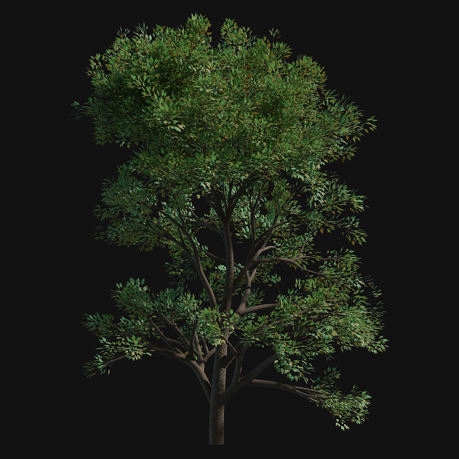 ArtStation - 31 Trees Alpha png | Resources