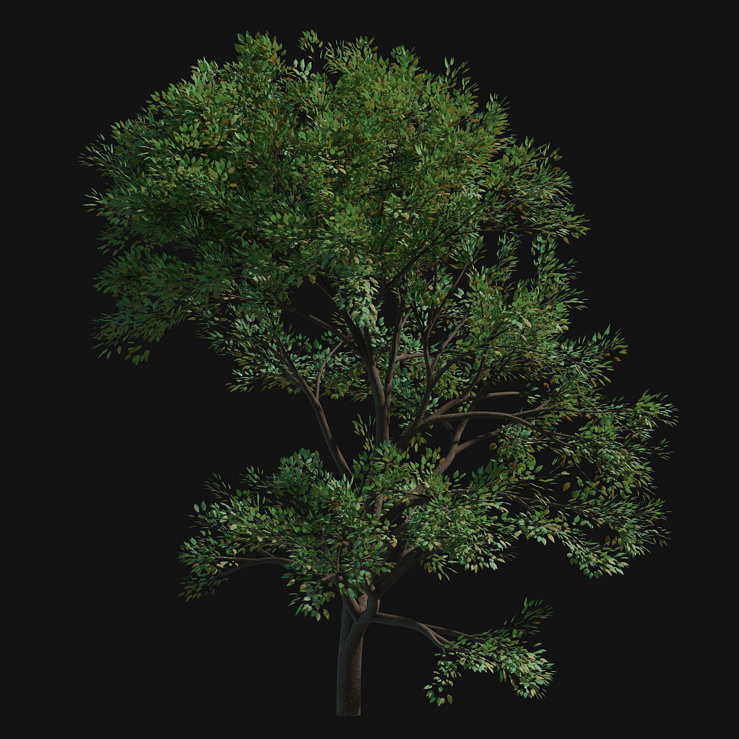 ArtStation 31 Trees Alpha png Resources