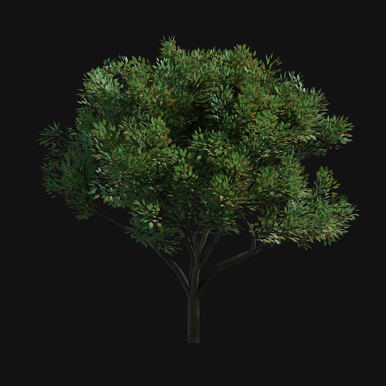 ArtStation - 31 Trees Alpha png | Resources