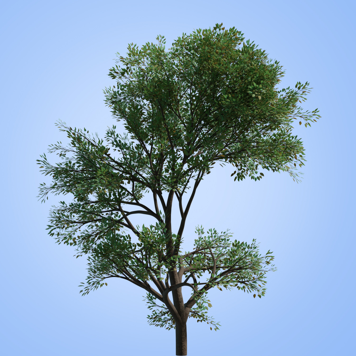 ArtStation 31 Trees Alpha png Resources