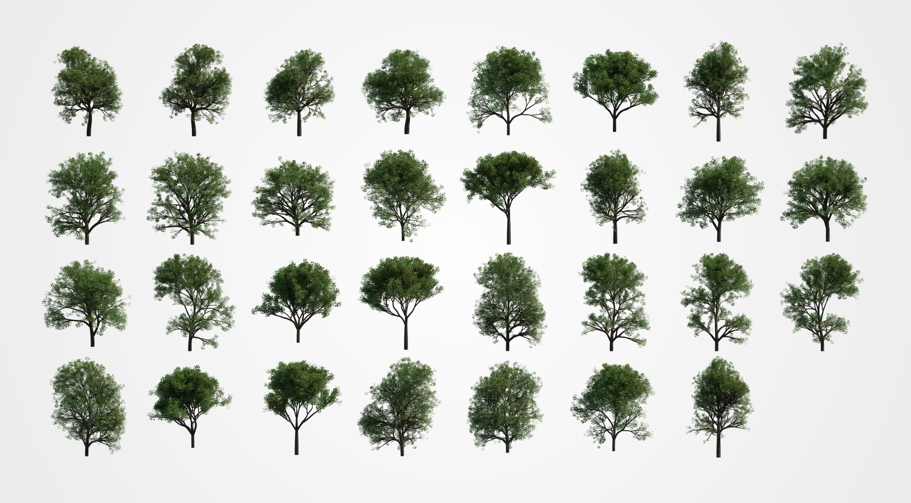 Группа деревьев 7. Деревья для архитектурной подачи. Деревья для архитектурной визуализации. Коллаж дерево. Дерево Альфа канал.
