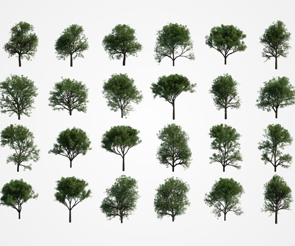 ArtStation 31 Trees Alpha png Resources