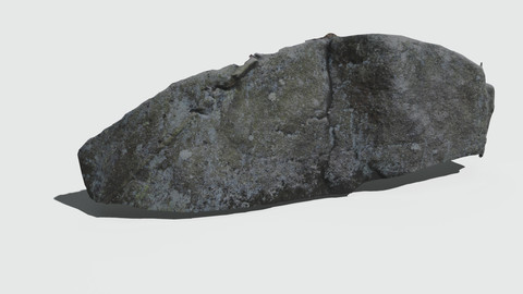 Rock Face Scan