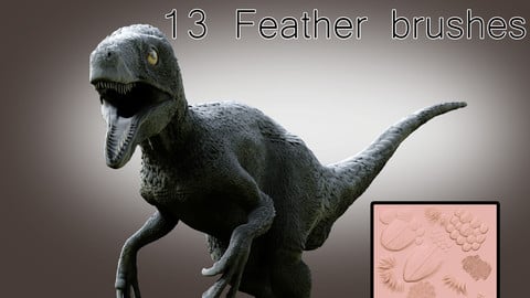 Feather brushes for Zbrush
