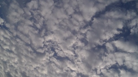 Alto-Cumulus