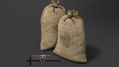 Food Sack Grain Tied 3D Model