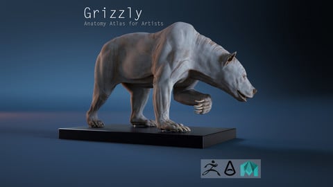 Digital Grizzly Bear skin for Artist