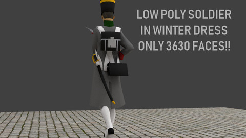 Napoleonic soldier with Winter Coat