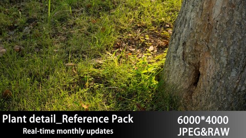 Plant detail_Reference Pack