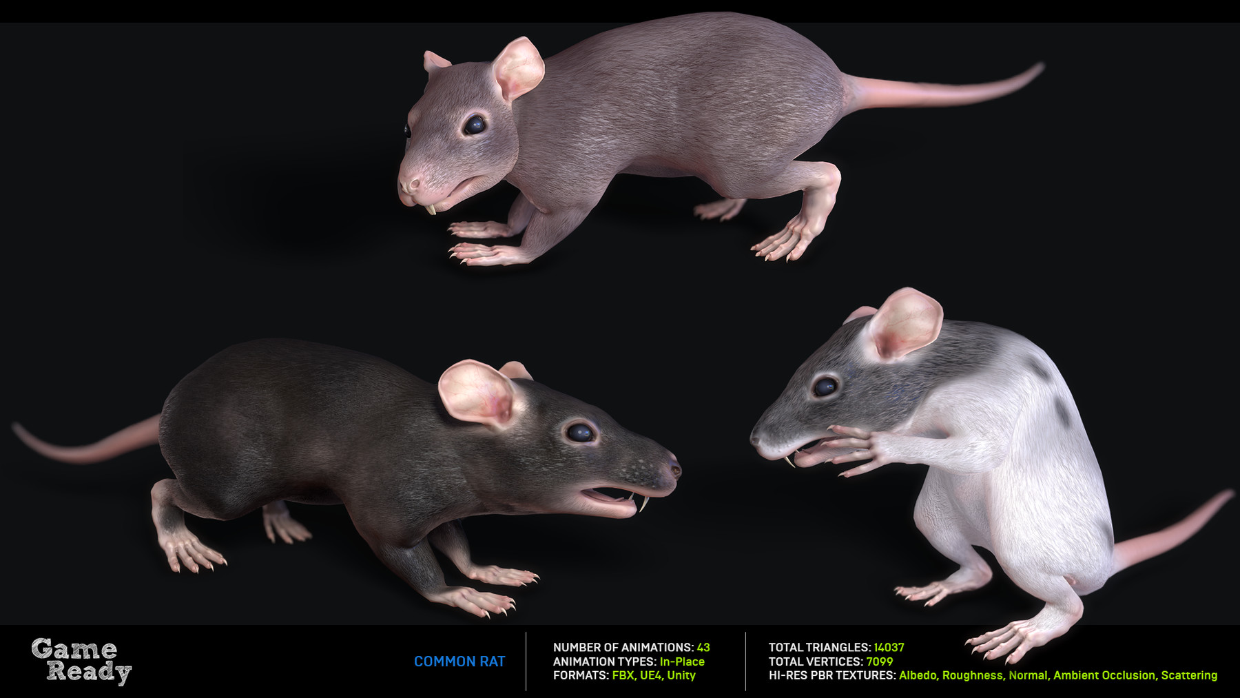 ArtStation - Rats Complete Pack | Game Assets