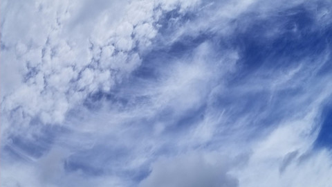 White Blood Cells of the Sky