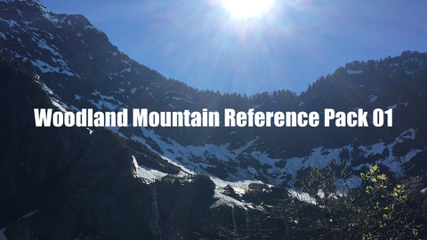 Woodland Mountain Reference Pack 01
