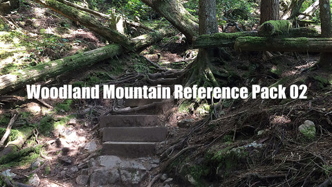 Woodland Mountain Reference Pack 02