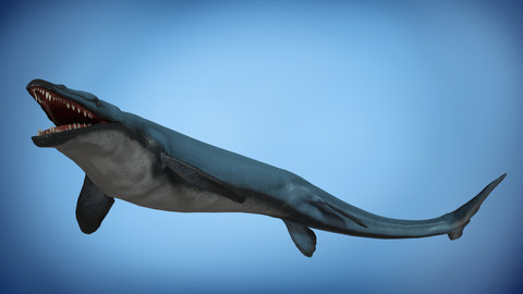 Basilosaurus