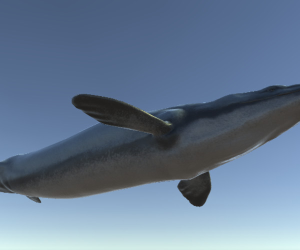 ArtStation Basilosaurus Game Assets