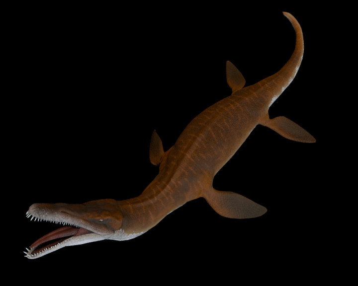 pliosaurus dinosaur