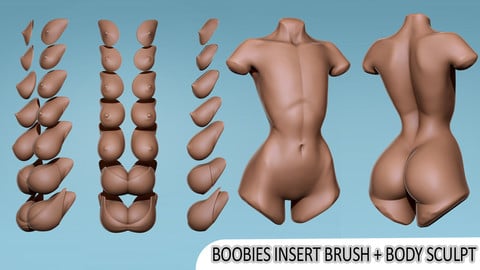Boobies insert brush